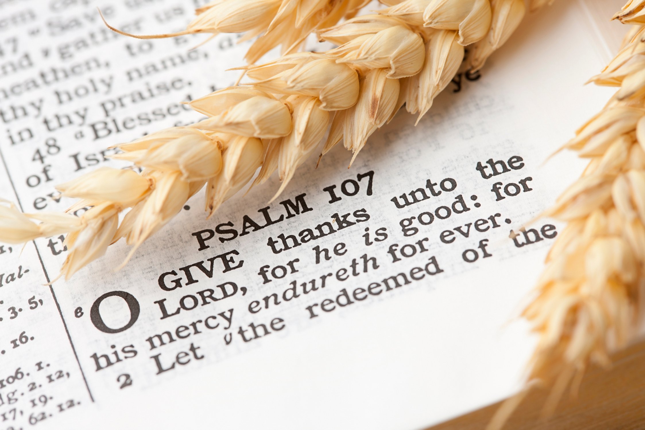 O Give Thanks Psalm 107 Thanksgiving